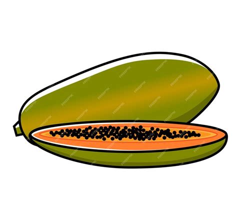 Papaya Clipart Vector Images (over 140) .